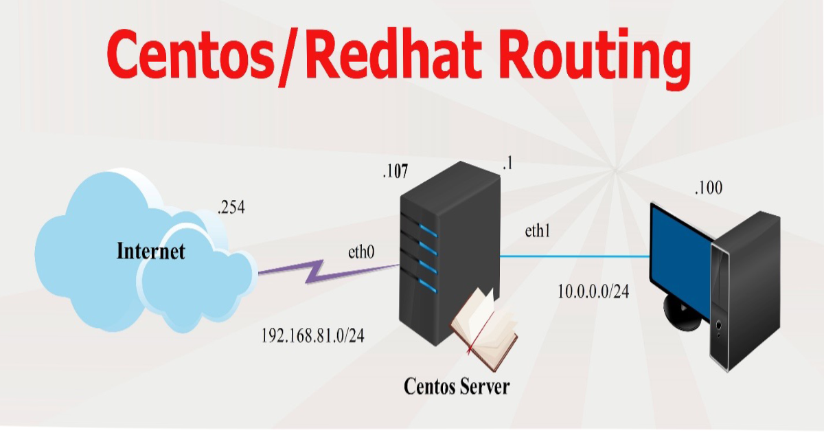 Linux Route Two Card Network